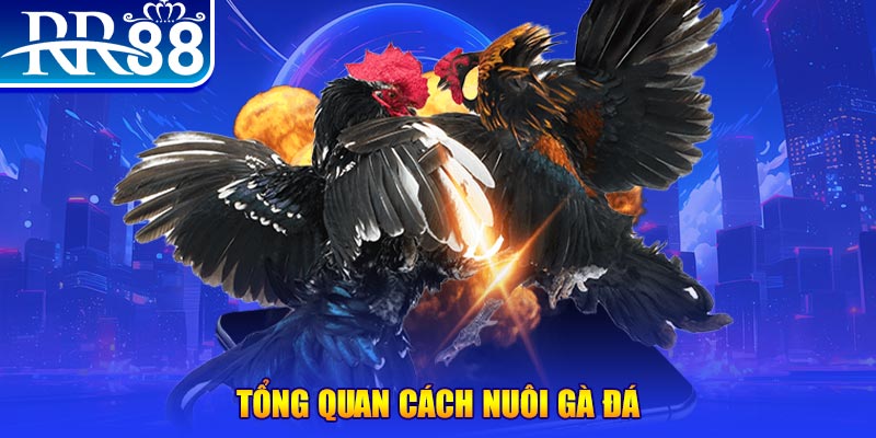 hu bet game nổ hũ rút tiền mặt là gì