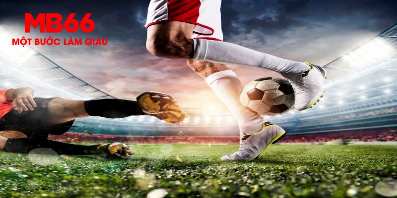 hu bet trực tiếp đá gà thomo