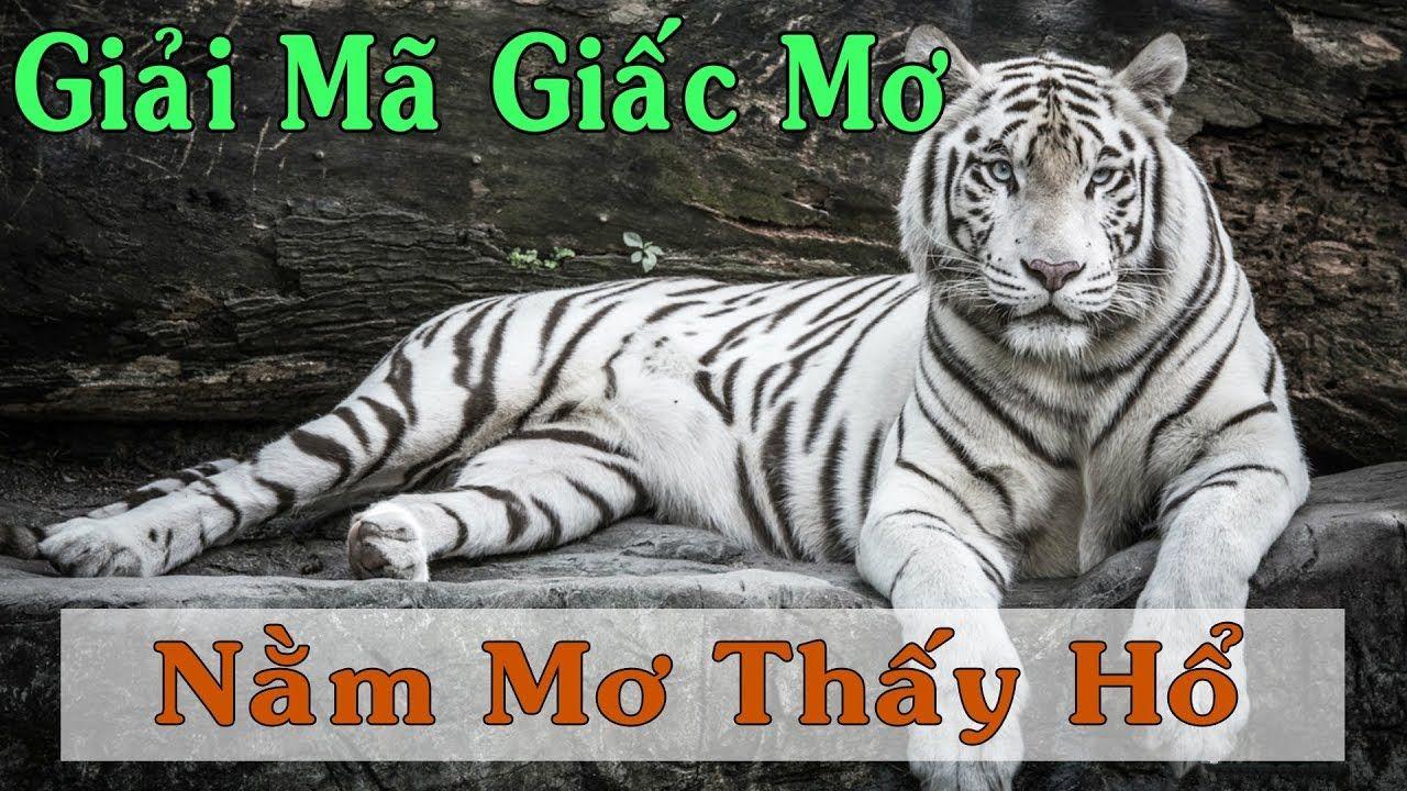 hu bet nổ hũ là game gì