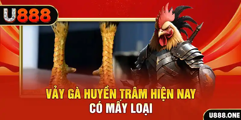 hu bet xổ số bình định