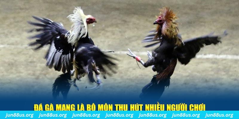 hu bet nổ hủ nghĩa là gì