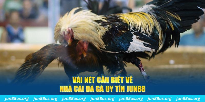 hu bet đăng nhập phỏm khuyến mãi