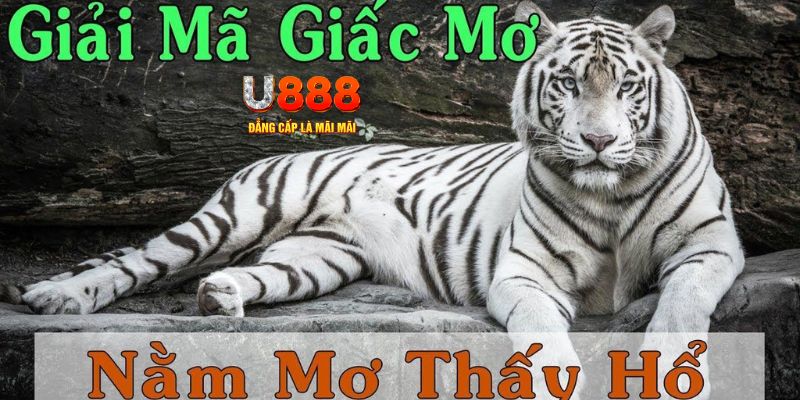 hu bet xổ số miền bắc xổ số miền bắc