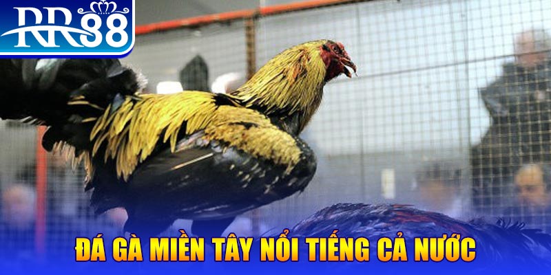 hu bet xổ số đại phát
