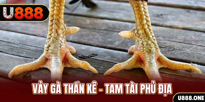 hu bet xổ số miền trung thứ hai hàng tuần