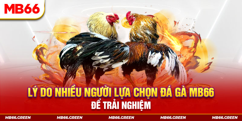 hu bet tai game danh bai tien len mien nam ve may tinh