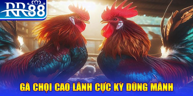 hu bet HB Điện Tử